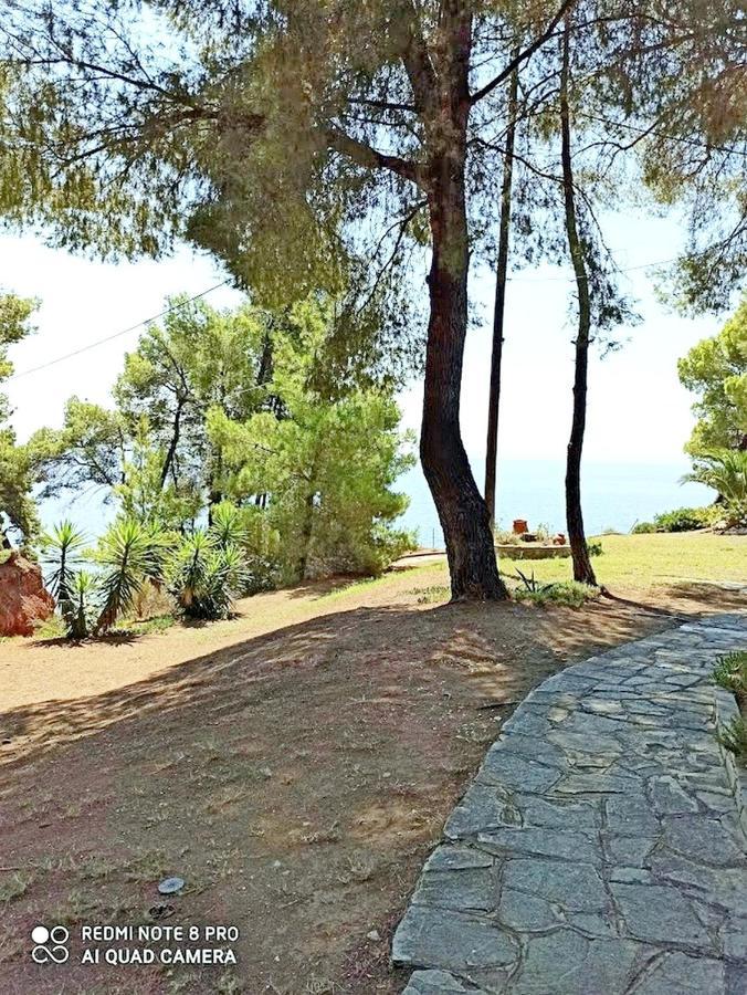 Squirrels, Home With View Metamorfosi  Exterior photo