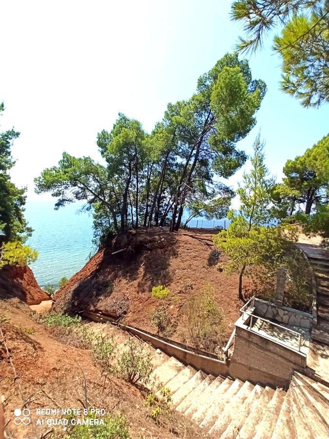 Squirrels, Home With View Metamorfosi  Exterior photo